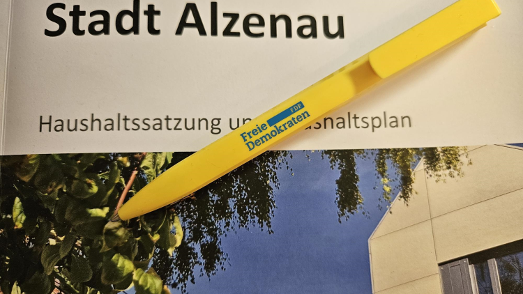 Haushaltsentwurf mit Stift