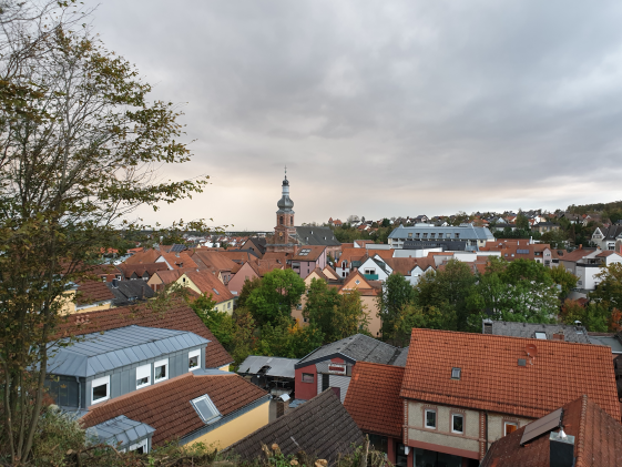 FDP Ortsverband Alzenau